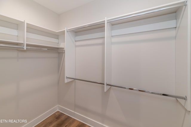 walk in closet with dark wood-type flooring