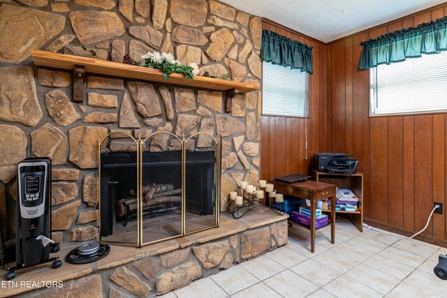 details with a stone fireplace and wood walls