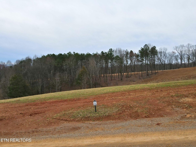 4486 Old Dogwood Trl, Loudon TN, 37774 land for sale