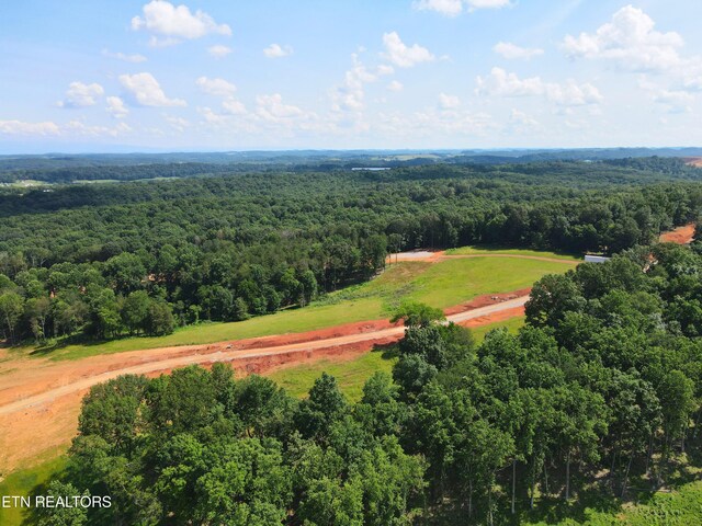 4486 Old Dogwood Trl, Loudon, TN 37774 - photo 6
