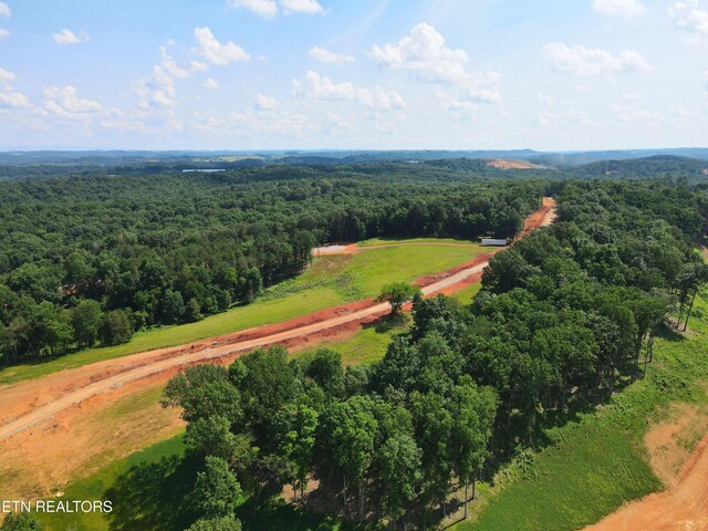 4486 Old Dogwood Trl, Loudon, TN 37774 - photo 7