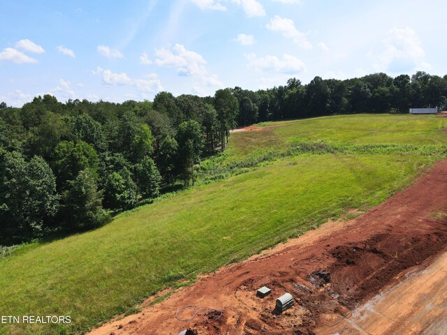 4486 Old Dogwood Trl, Loudon, TN 37774 - photo 3