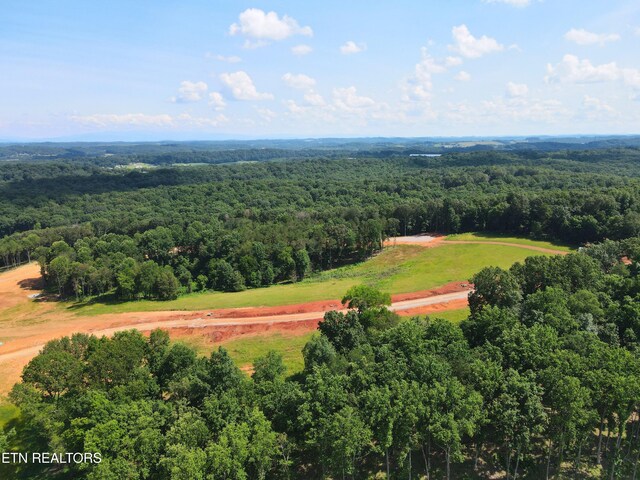 4486 Old Dogwood Trl, Loudon, TN 37774 - photo 8