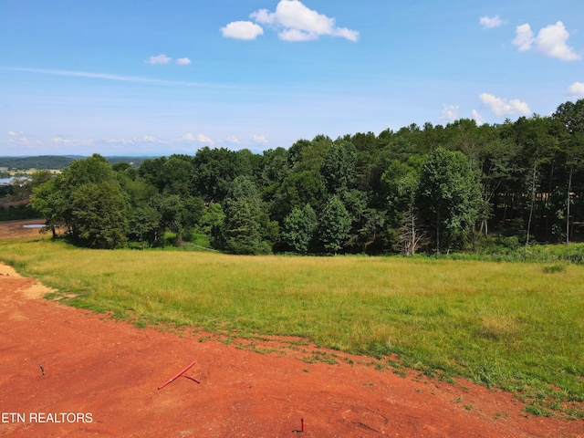 4486 Old Dogwood Trl, Loudon, TN 37774 - photo 5