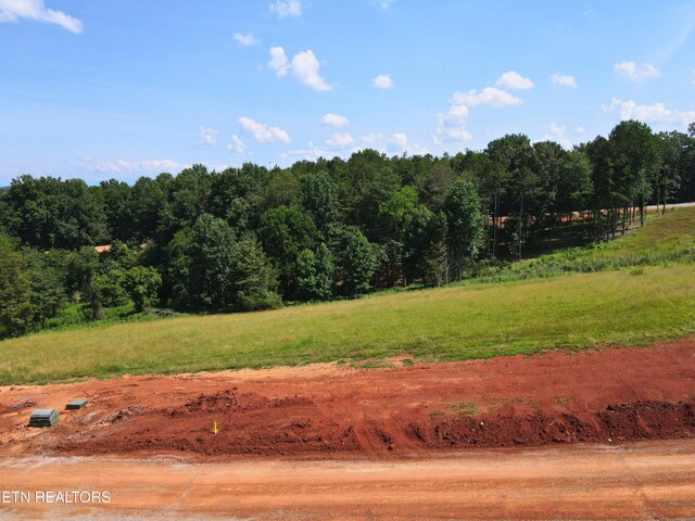 4486 Old Dogwood Trl, Loudon, TN 37774 - photo 4