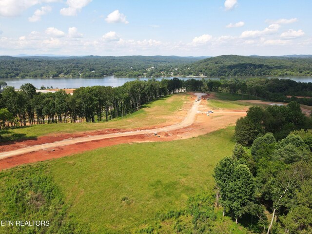4486 Old Dogwood Trl, Loudon, TN 37774 - photo 13