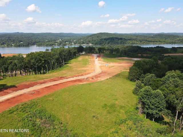 4486 Old Dogwood Trl, Loudon, TN 37774 - photo 14