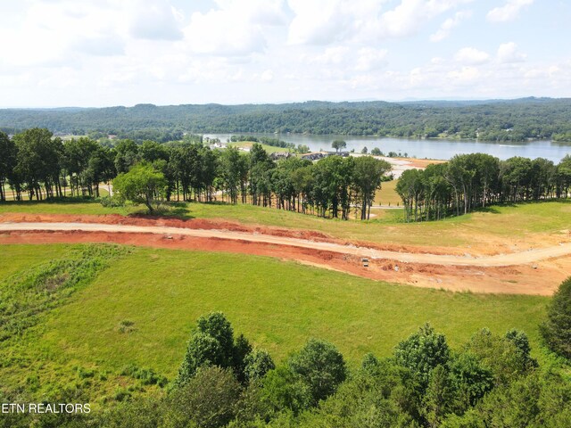 4486 Old Dogwood Trl, Loudon, TN 37774 - photo 9