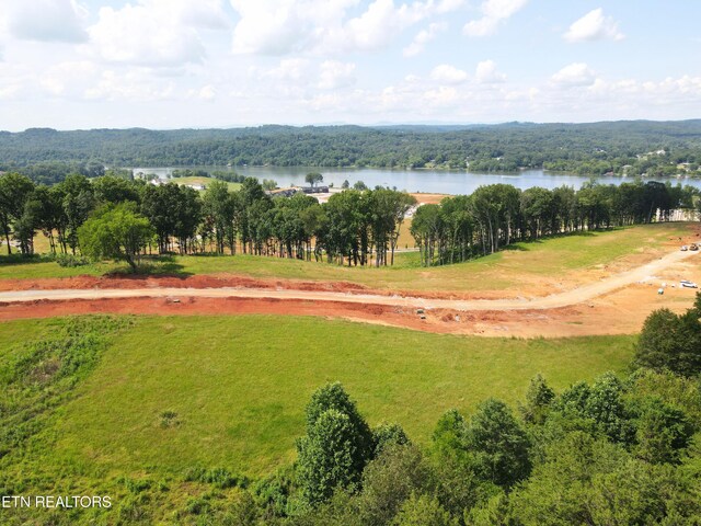 4486 Old Dogwood Trl, Loudon, TN 37774 - photo 10