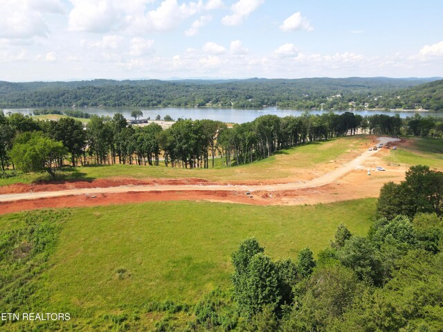 4486 Old Dogwood Trl, Loudon, TN 37774 - photo 11