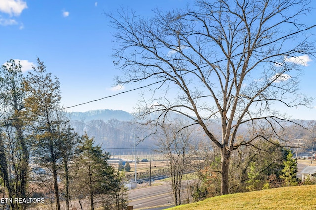 view of mountain feature