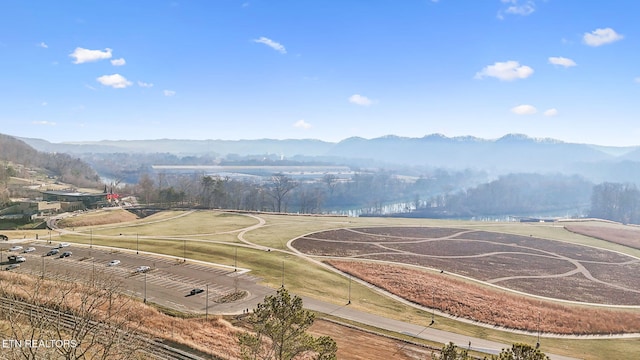 view of mountain feature