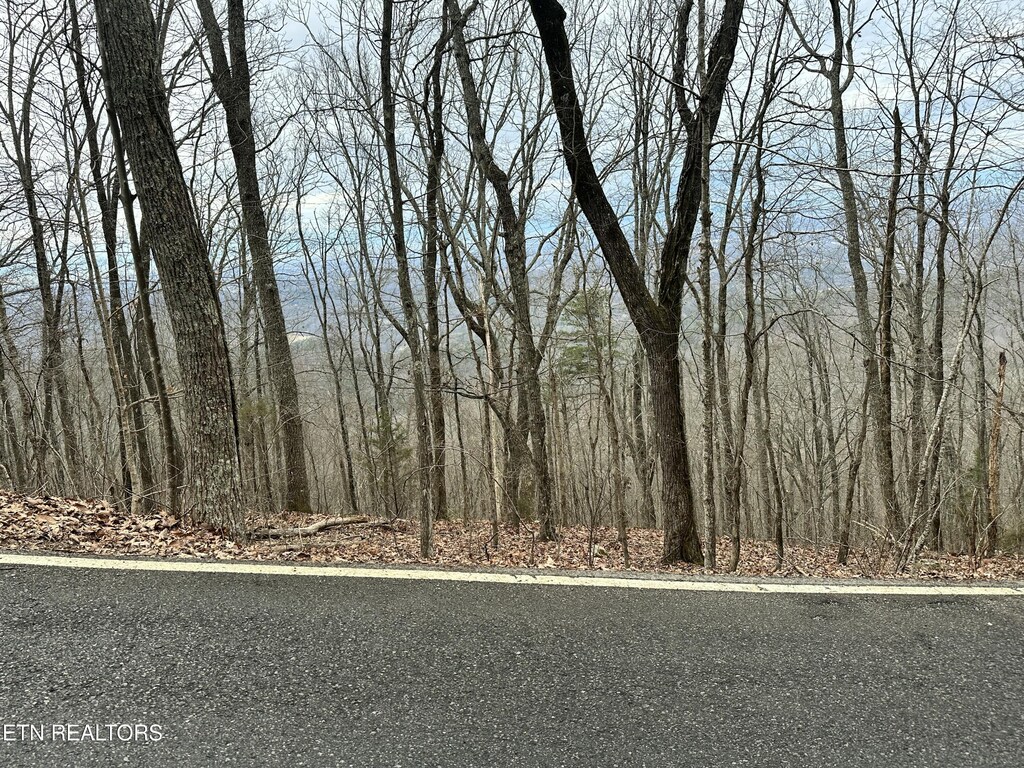 Butterfly Gap Rd, Maryville, TN 37803 - photo 3