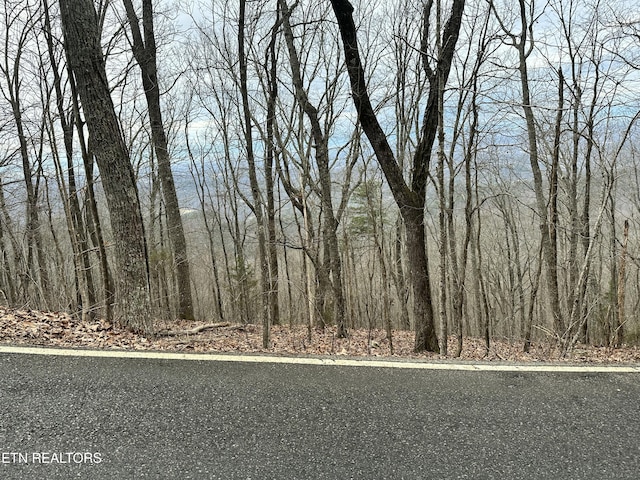 Butterfly Gap Rd, Maryville, TN 37803 - photo 3