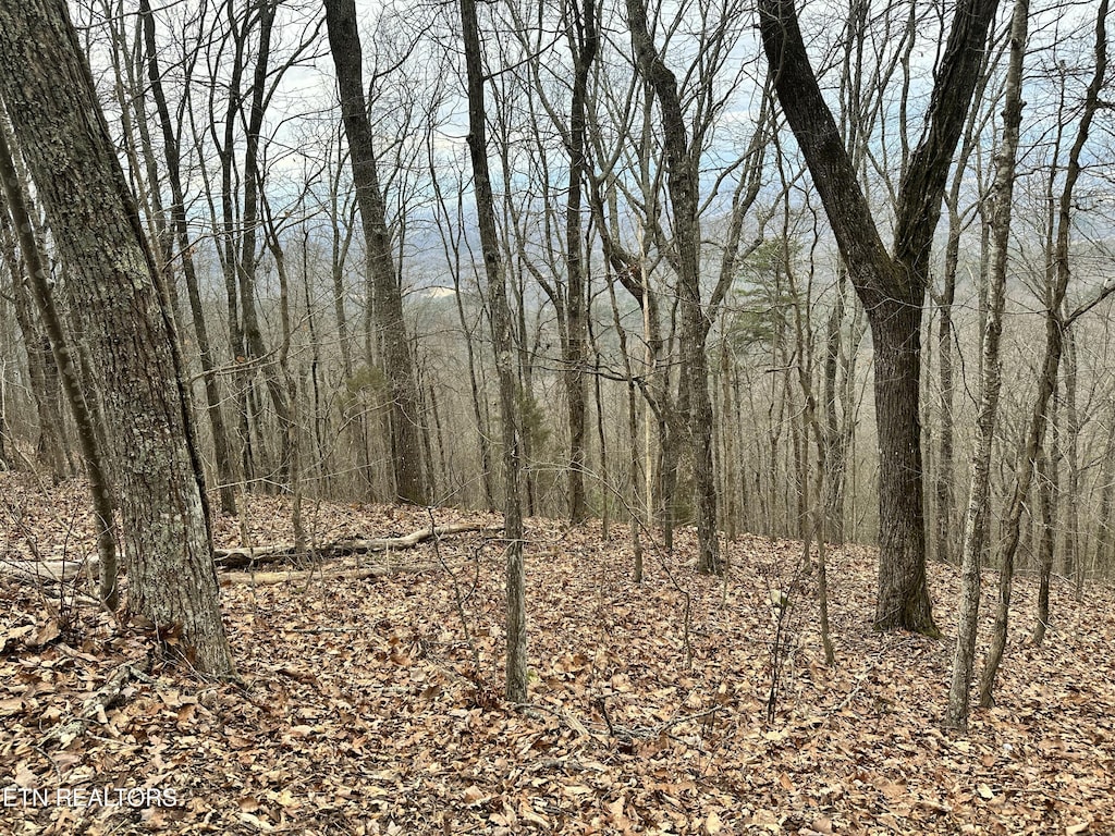 Butterfly Gap Rd, Maryville, TN 37803 - photo 1