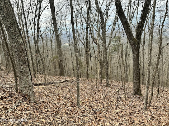 Butterfly Gap Rd, Maryville, TN 37803 - photo 1