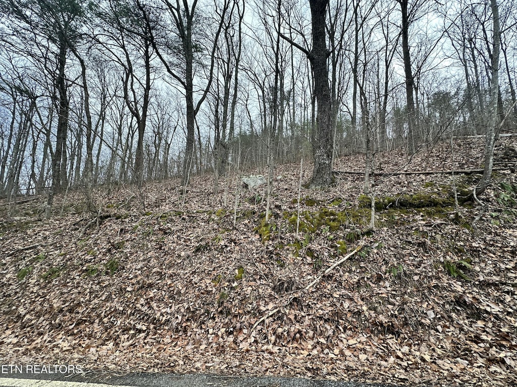 Butterfly Gap Rd, Maryville, TN 37803 - photo 2