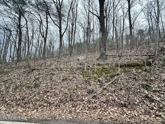 Butterfly Gap Rd, Maryville, TN 37803 - photo 2