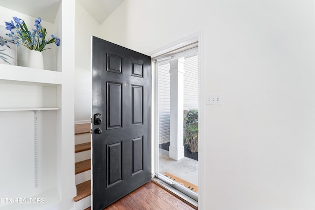 foyer entrance featuring dark wood-type flooring