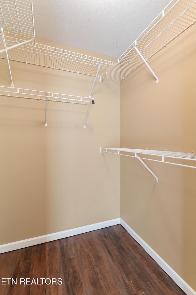 walk in closet featuring dark wood-style floors