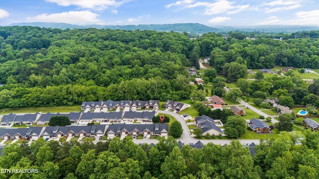 1440 Hazelgreen Way, Knoxville, TN 37912 - photo 35