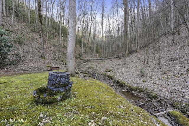 view of yard with a wooded view