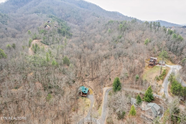 bird's eye view with a mountain view and a wooded view