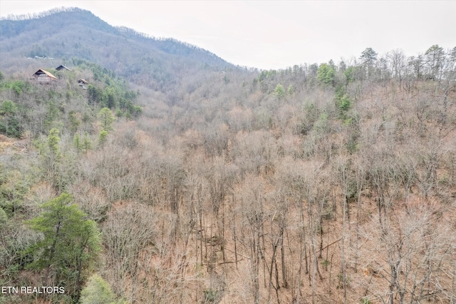 mountain view featuring a forest view