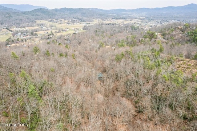 birds eye view of property with a mountain view