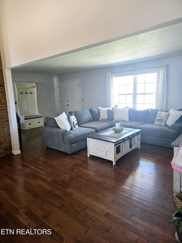 living area featuring dark wood finished floors