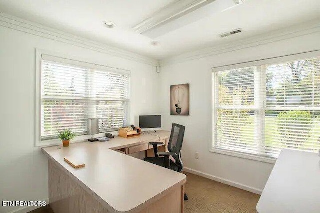 home office with crown molding, plenty of natural light, baseboards, and visible vents