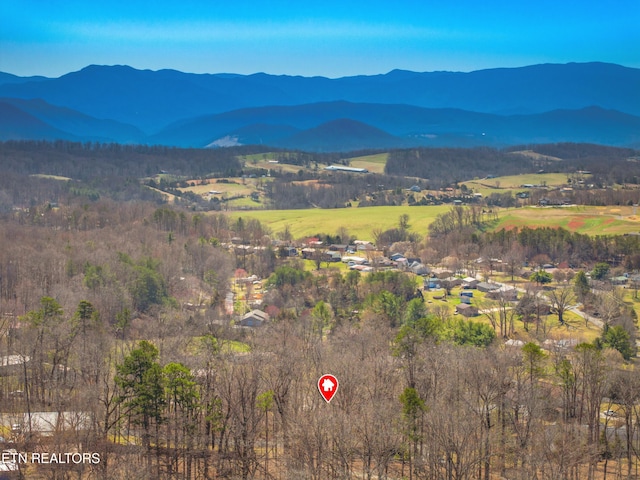 property view of mountains