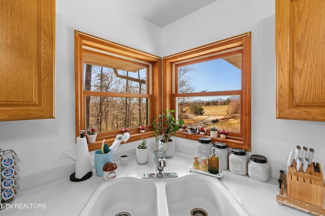 details featuring light countertops and a sink