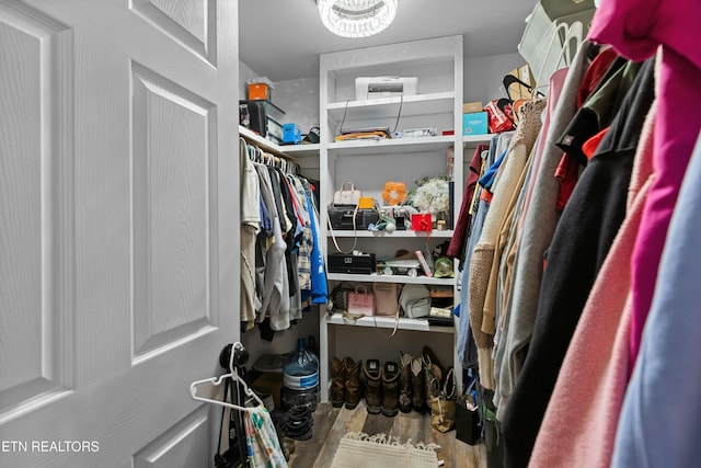 walk in closet featuring wood finished floors