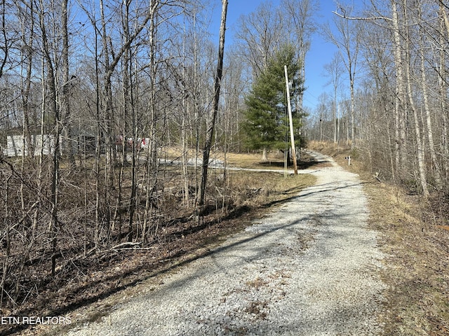 view of road