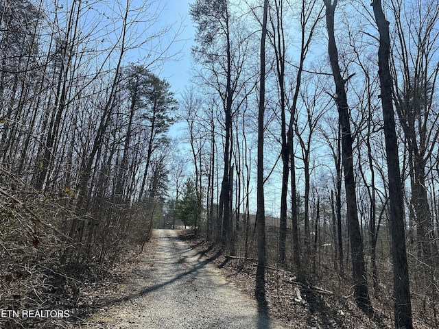 view of street with a view of trees