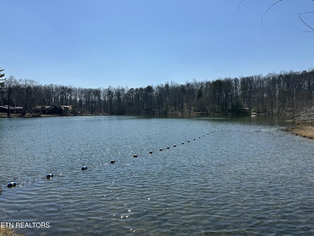 property view of water featuring a wooded view