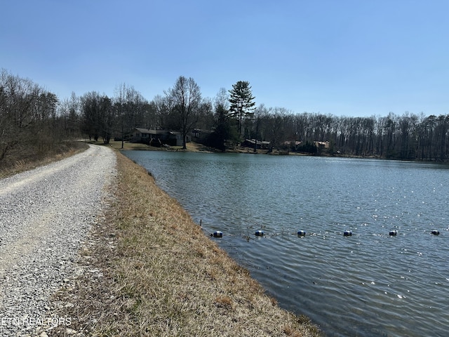 water view featuring a view of trees