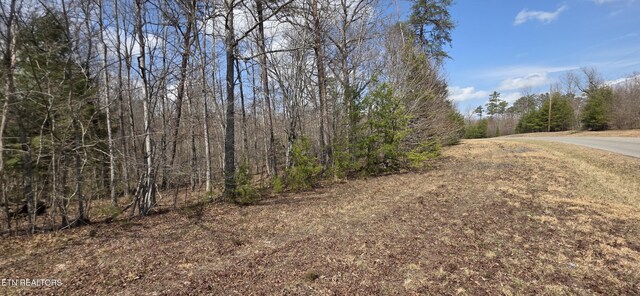 7 Cumberland Lakes Dr, Monterey, TN 38574 - photo 4