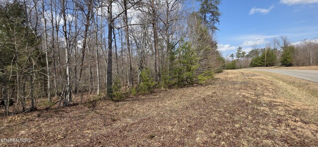 7 Cumberland Lakes Dr, Monterey, TN 38574 - photo 5