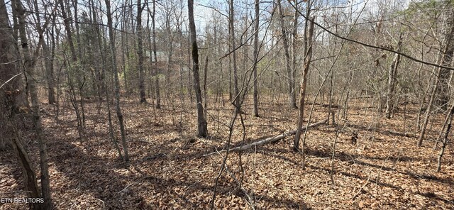 7 Cumberland Lakes Dr, Monterey, TN 38574 - photo 8