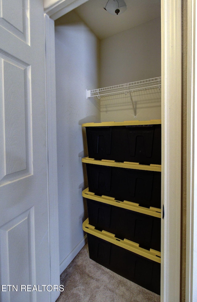 view of closet