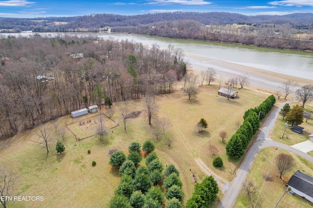 drone / aerial view featuring a water view and a view of trees