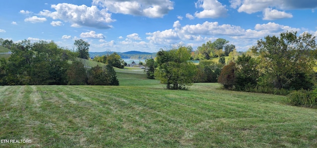 Listing photo 2 for 414 Russell Brothers Rd, Sharps Chapel TN 37866