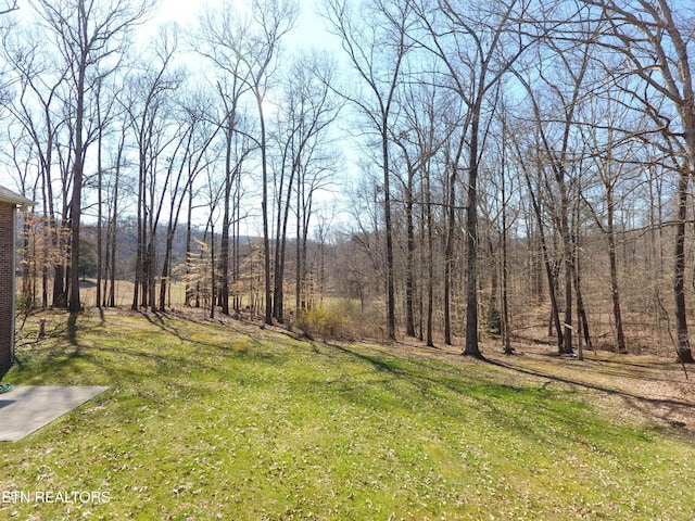 view of yard featuring a view of trees