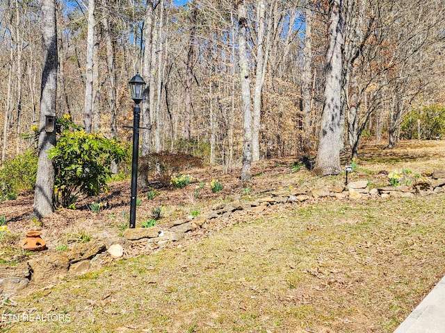 view of yard with a view of trees