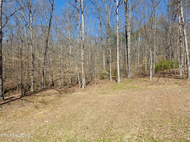 view of nature featuring a wooded view