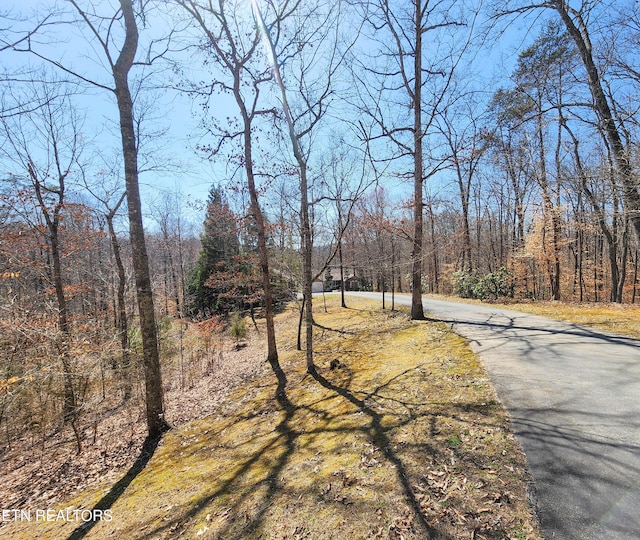 view of road featuring a wooded view