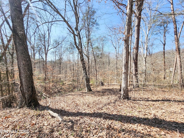 view of nature featuring a view of trees