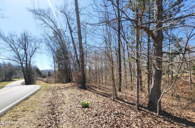 view of road